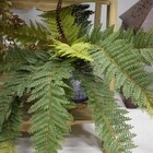 Folhagem Samambaia Artificial Toque Real | Formosinha